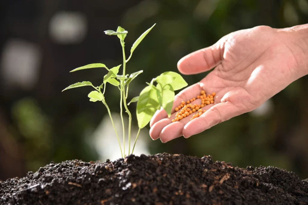 Fertilizers