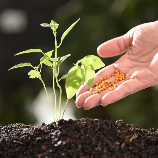 Fertilizers